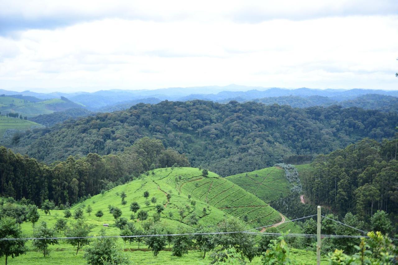 Nyungwe Village Kitabi Dış mekan fotoğraf