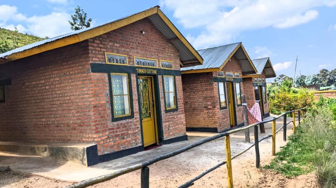 Nyungwe Village Kitabi Dış mekan fotoğraf