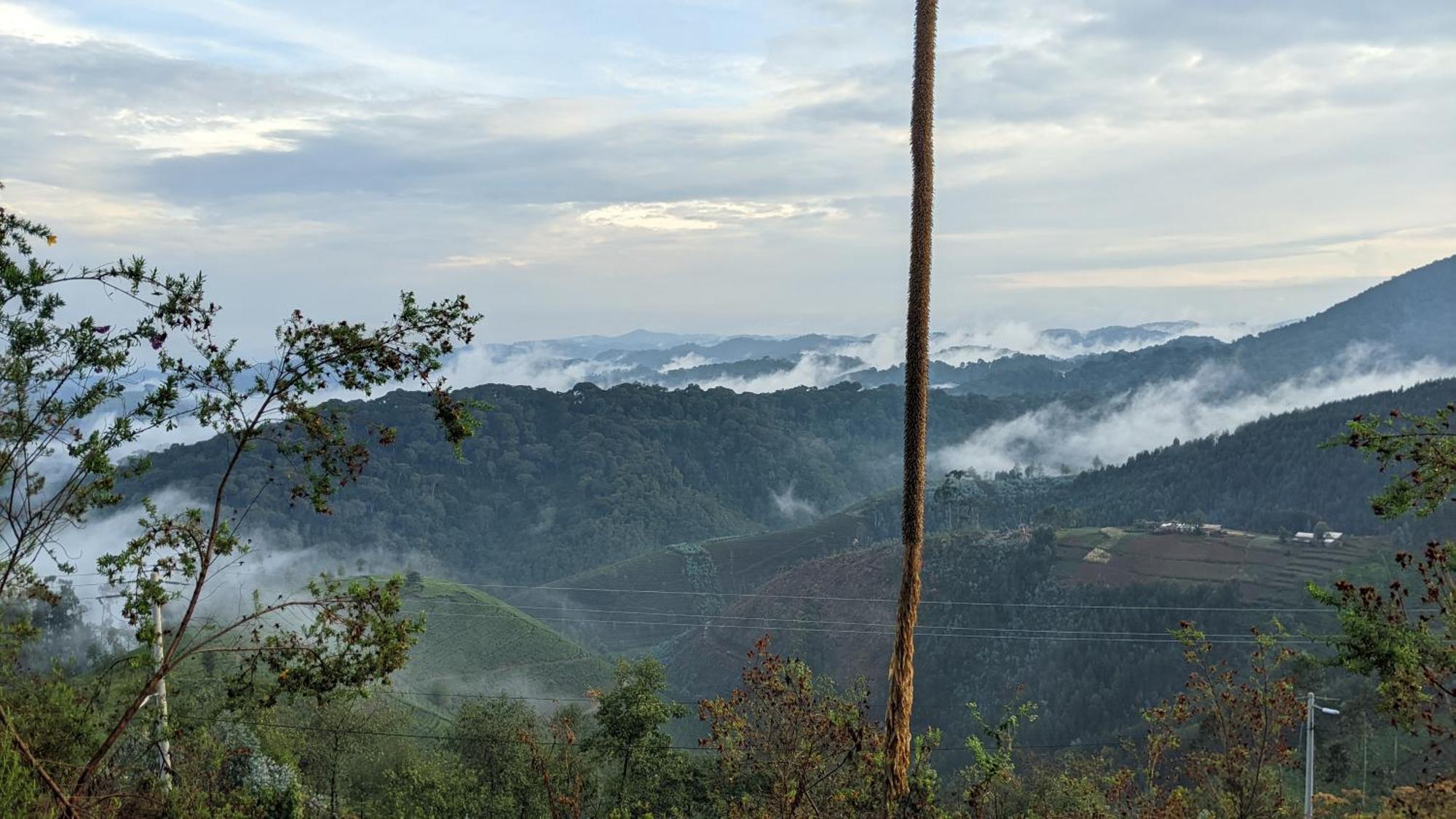 Nyungwe Village Kitabi Dış mekan fotoğraf