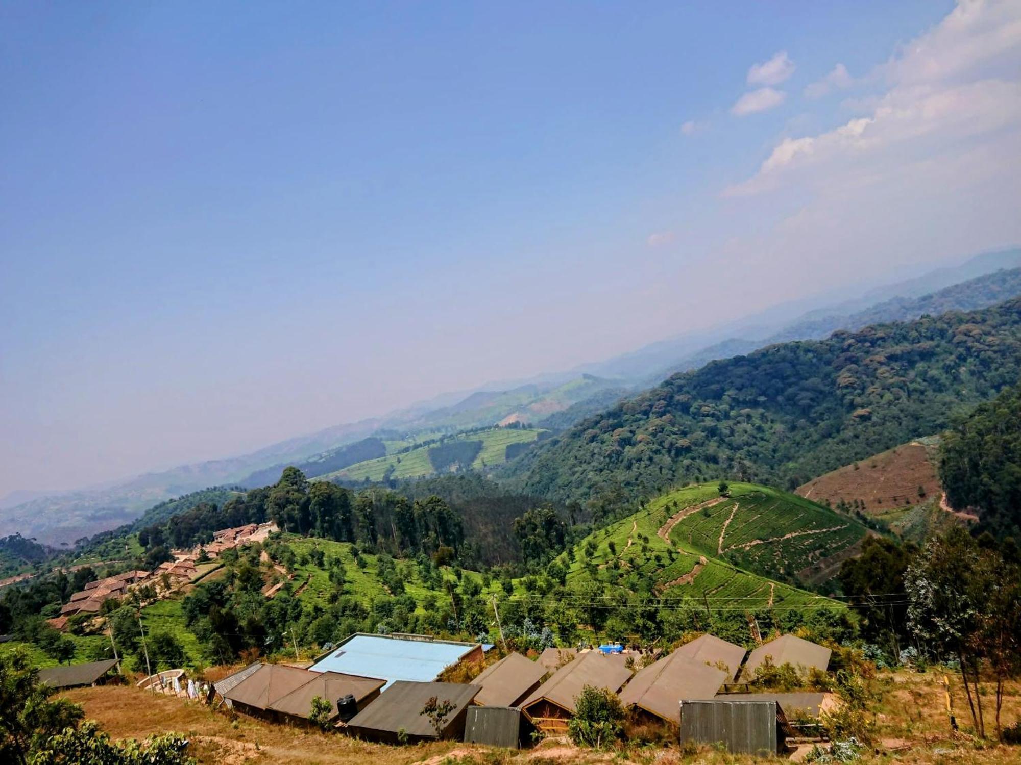 Nyungwe Village Kitabi Dış mekan fotoğraf
