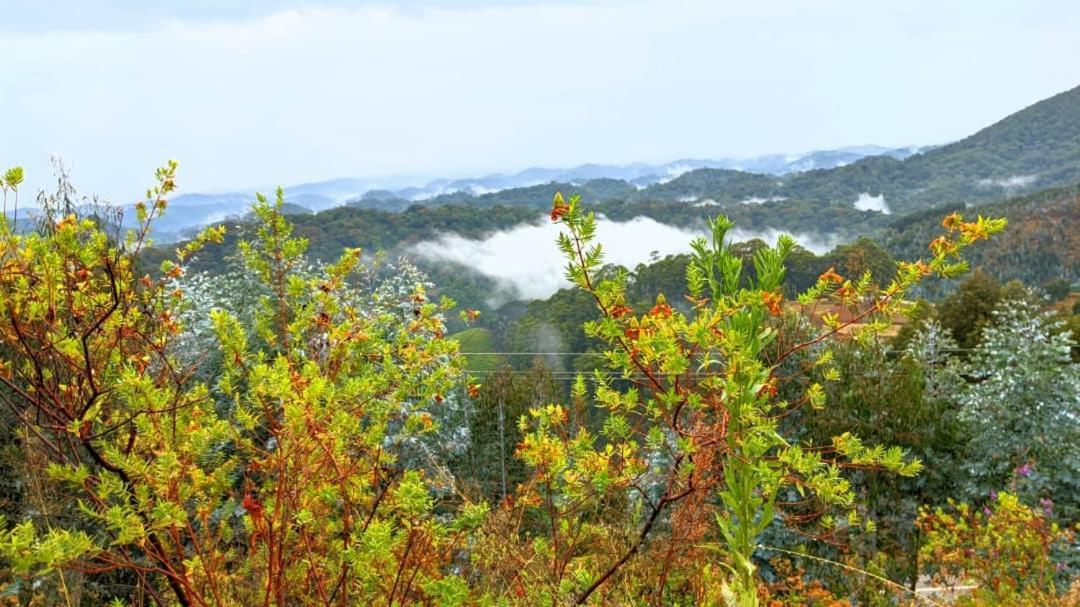 Nyungwe Village Kitabi Dış mekan fotoğraf