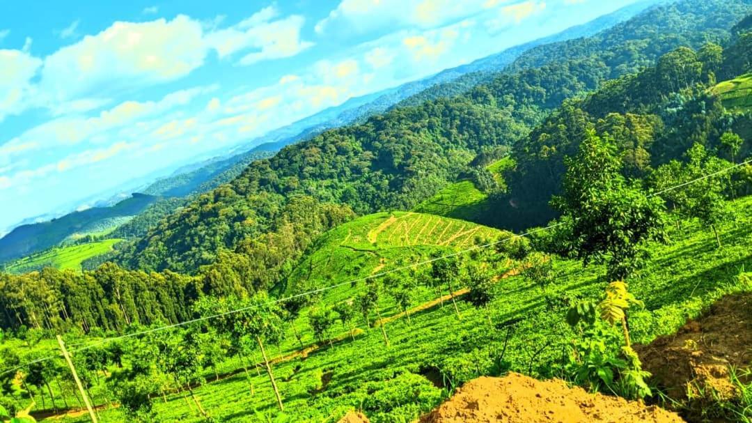 Nyungwe Village Kitabi Dış mekan fotoğraf